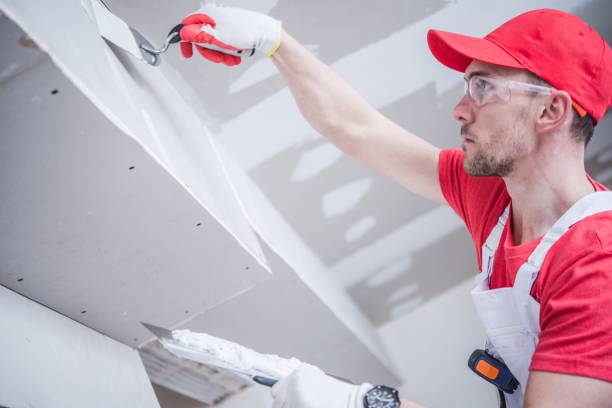 Best Trim and Molding Painting  in Abbotsford, WI